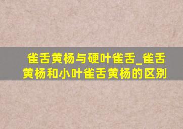 雀舌黄杨与硬叶雀舌_雀舌黄杨和小叶雀舌黄杨的区别