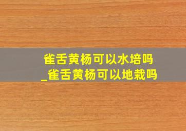 雀舌黄杨可以水培吗_雀舌黄杨可以地栽吗