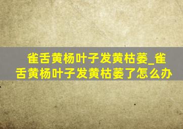 雀舌黄杨叶子发黄枯萎_雀舌黄杨叶子发黄枯萎了怎么办