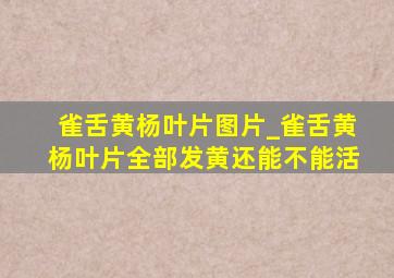 雀舌黄杨叶片图片_雀舌黄杨叶片全部发黄还能不能活