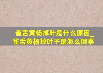 雀舌黄杨掉叶是什么原因_雀舌黄杨掉叶子是怎么回事