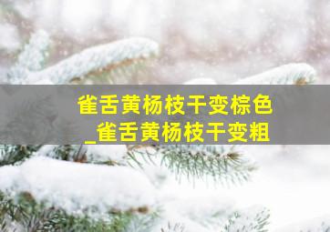 雀舌黄杨枝干变棕色_雀舌黄杨枝干变粗