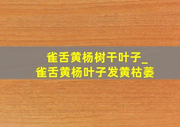 雀舌黄杨树干叶子_雀舌黄杨叶子发黄枯萎