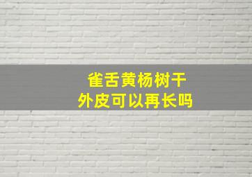 雀舌黄杨树干外皮可以再长吗