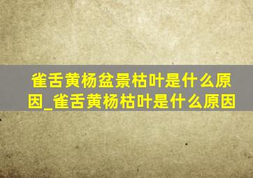 雀舌黄杨盆景枯叶是什么原因_雀舌黄杨枯叶是什么原因