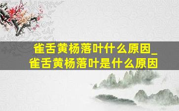 雀舌黄杨落叶什么原因_雀舌黄杨落叶是什么原因