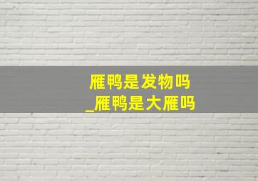 雁鸭是发物吗_雁鸭是大雁吗