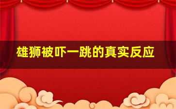 雄狮被吓一跳的真实反应