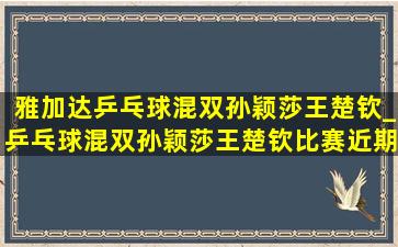 雅加达乒乓球混双孙颖莎王楚钦_乒乓球混双孙颖莎王楚钦比赛近期