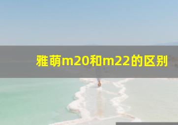 雅萌m20和m22的区别