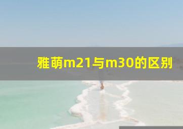 雅萌m21与m30的区别