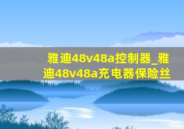 雅迪48v48a控制器_雅迪48v48a充电器保险丝