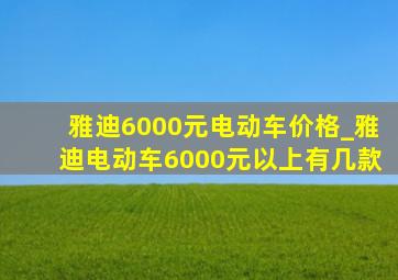 雅迪6000元电动车价格_雅迪电动车6000元以上有几款