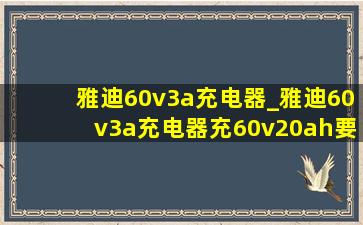 雅迪60v3a充电器_雅迪60v3a充电器充60v20ah要多久