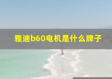 雅迪b60电机是什么牌子