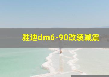 雅迪dm6-90改装减震