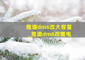 雅迪dm6改大容量_雅迪dm6改锂电