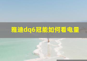 雅迪dq6冠能如何看电量