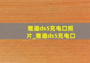 雅迪ds5充电口照片_雅迪ds5充电口