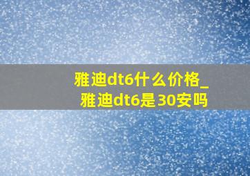 雅迪dt6什么价格_雅迪dt6是30安吗