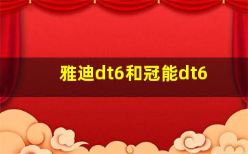 雅迪dt6和冠能dt6