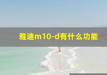 雅迪m10-d有什么功能