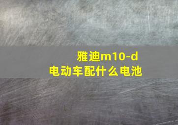 雅迪m10-d电动车配什么电池