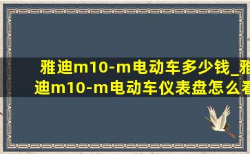 雅迪m10-m电动车多少钱_雅迪m10-m电动车仪表盘怎么看