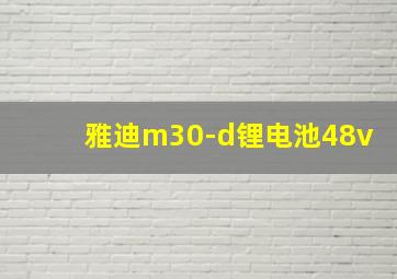 雅迪m30-d锂电池48v