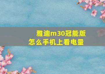 雅迪m30冠能版怎么手机上看电量