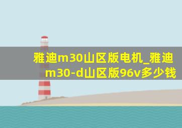 雅迪m30山区版电机_雅迪m30-d山区版96v多少钱