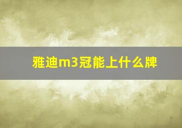 雅迪m3冠能上什么牌