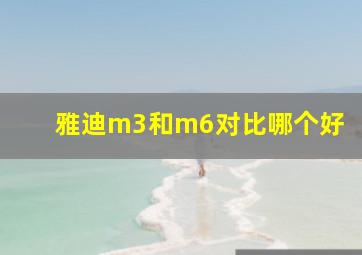 雅迪m3和m6对比哪个好