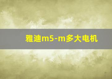 雅迪m5-m多大电机