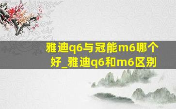 雅迪q6与冠能m6哪个好_雅迪q6和m6区别