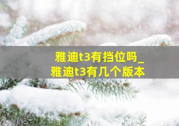 雅迪t3有挡位吗_雅迪t3有几个版本