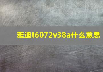 雅迪t6072v38a什么意思