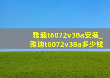 雅迪t6072v38a安装_雅迪t6072v38a多少钱