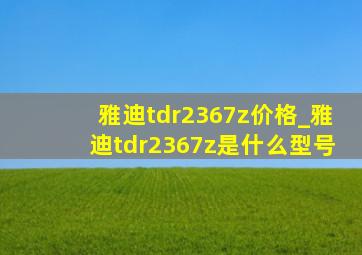 雅迪tdr2367z价格_雅迪tdr2367z是什么型号