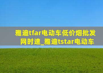 雅迪tfar电动车(低价烟批发网)时速_雅迪tstar电动车