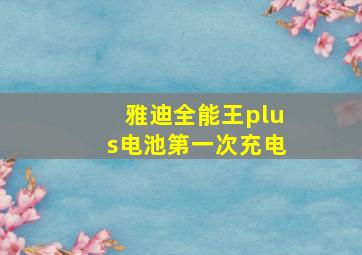 雅迪全能王plus电池第一次充电