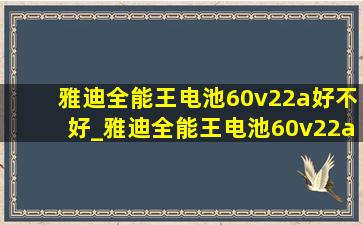 雅迪全能王电池60v22a好不好_雅迪全能王电池60v22a进货价格