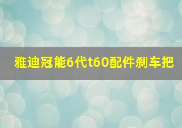 雅迪冠能6代t60配件刹车把