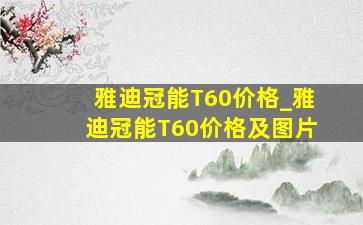 雅迪冠能T60价格_雅迪冠能T60价格及图片