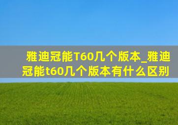 雅迪冠能T60几个版本_雅迪冠能t60几个版本有什么区别