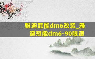 雅迪冠能dm6改装_雅迪冠能dm6-90限速