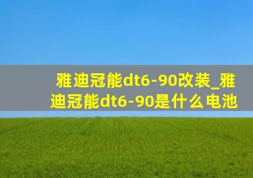 雅迪冠能dt6-90改装_雅迪冠能dt6-90是什么电池