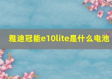 雅迪冠能e10lite是什么电池