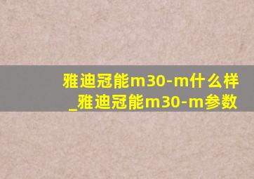 雅迪冠能m30-m什么样_雅迪冠能m30-m参数