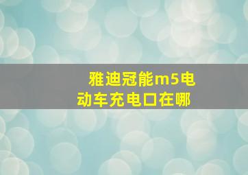 雅迪冠能m5电动车充电口在哪